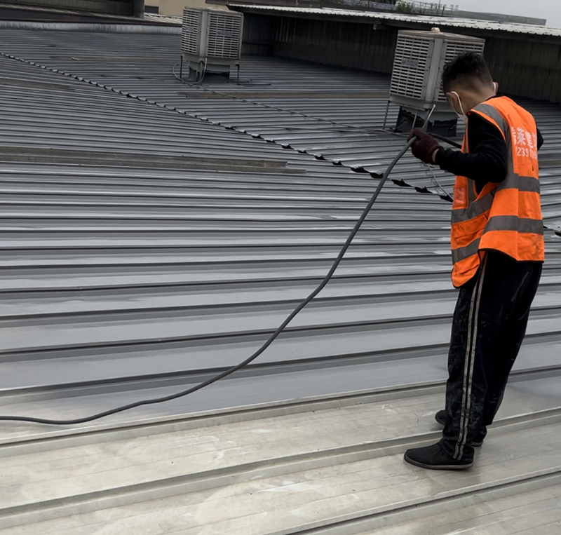 �����������ᱣ��